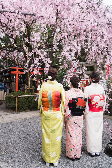 （京都桜の穴場）水火天満宮の桜