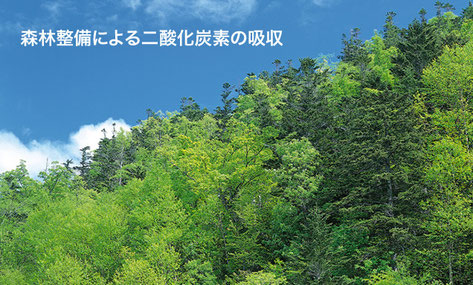 岐阜のデザイナーズ住宅