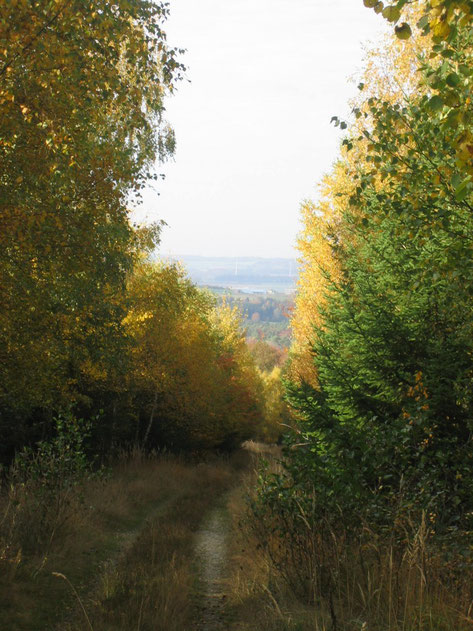 Auf dem Weg zur höchsten Erhebung im Rhein-Hunsrück-Kreis: Dem Simmerkopf