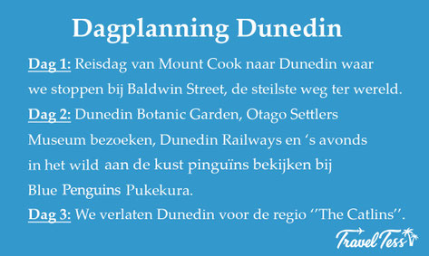 Dagplanning Dunedin