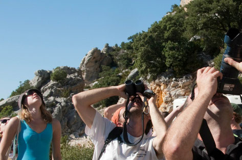 Aix en Provence top things to do - Excursions - Copyright Martin Sharman