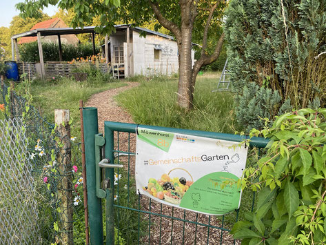 Jede und jeder kann sich hier im Gemeinschaftsgarten einbringen.                                                                                              Foto: B. Prötzig