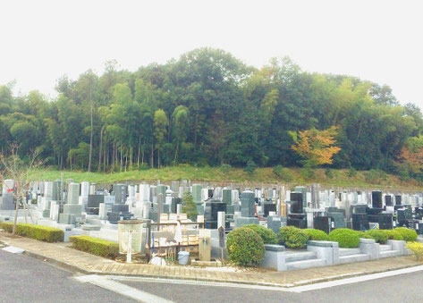 ※このようなお墓を将来どうするか、悩まれる方が増えています