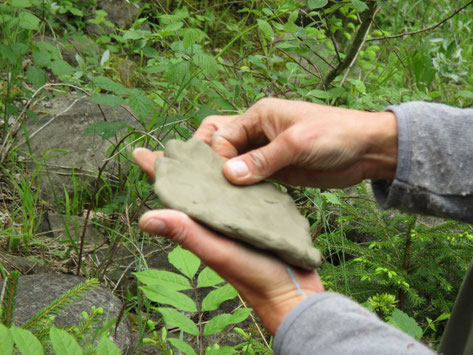 Naturtherapie und Naturcoaching Luzern