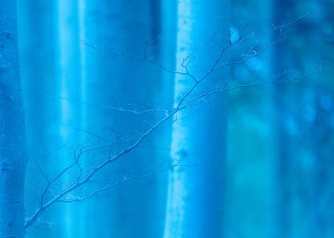 Kreative Natur