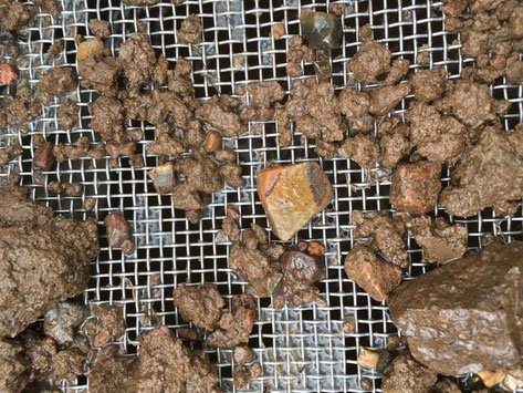 Les céramiques ont été trouvées dans la même couche à la porte du nord comme à la porte Est. Cela signifie qu'elles proviennent de la même période. Crfédit : Nanna Holm