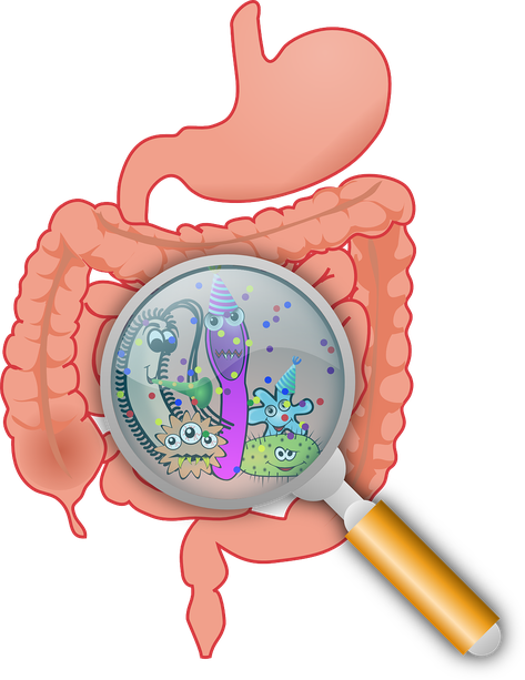 Urine Organic Acid testing and Comprehensive Digestive Stool Analysis are windows into the health of your child's GUT.