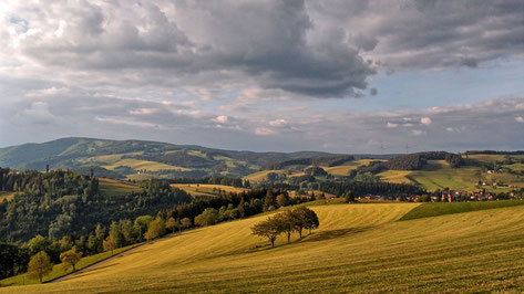 Blick auf St. Peter / Mai 2015