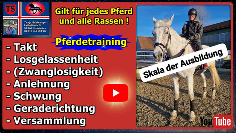 Link führt direkt zu Video bei YouTube