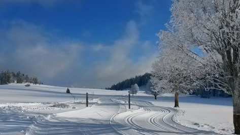 Perfekt präparierte Langlaufloipenn im Berner Jura