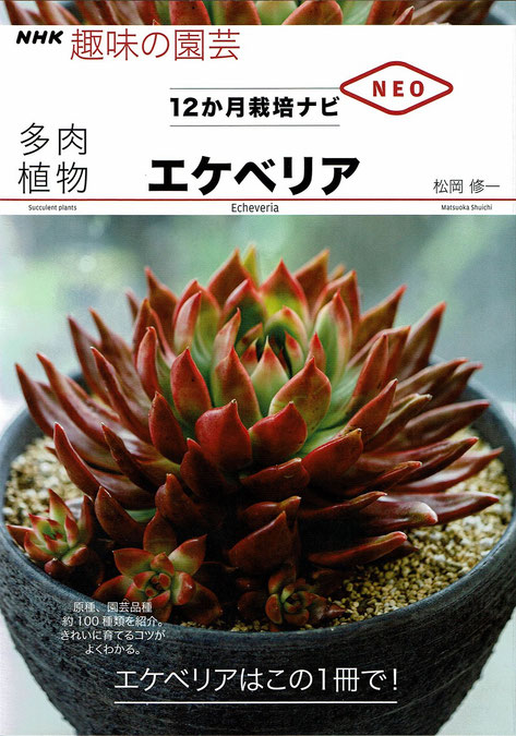 エケベリアの本を出版しました！ - 多肉植物通販・販売｜たにっ