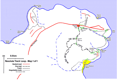 Resolute Track Loop, Ku Ring Gai Chase NP