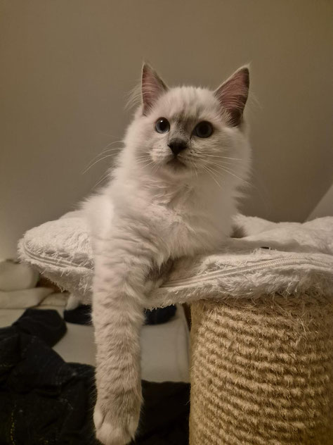 First day in new home