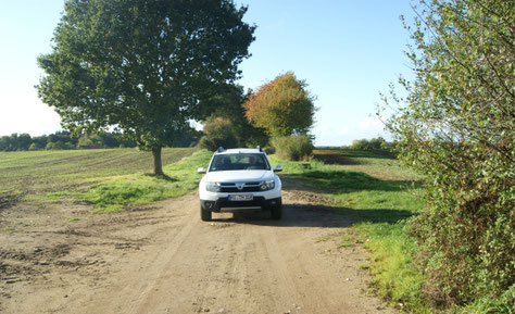 Schotterweg östlich des Biosphärenreservats Schaalsee