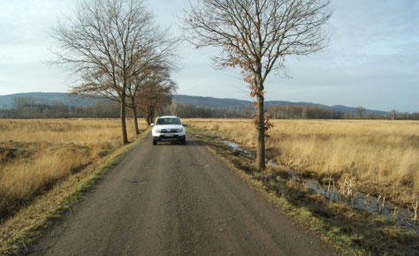 Schotterweg im Großen Torfmoor
