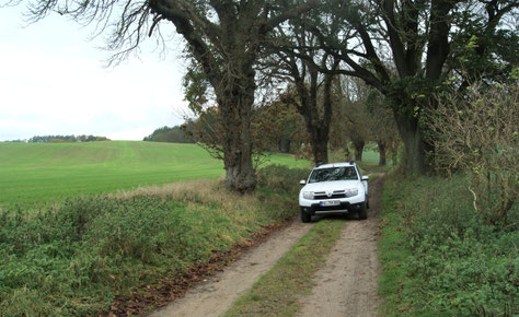Feld- und Waldweg im Warnowtal