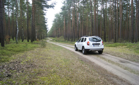 Waldweg im zwischen Mecklenburg-Vorpommern und Brandenburg