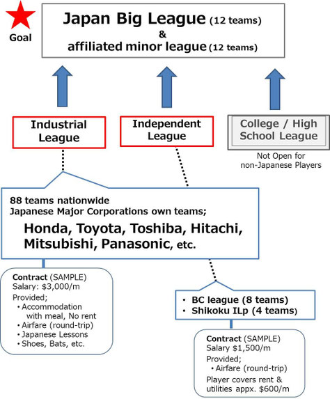 Japanese Baseball Leagues - San Diego Sports Authority