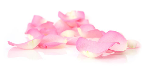 Inkes Blumenwelt in Handwitt - Ihr Blumengeschäft in der Nähe