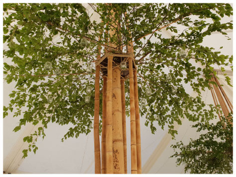 tente bambou chapiteau BAMBOU bambouctou structural bambou mariage