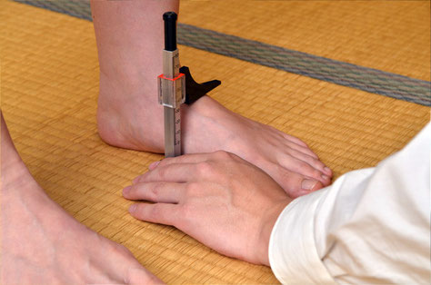 甲の高さを計測しているところ