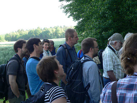 Tagungsteilnehmer bei der Exkursion in der Davert (Foto: Gilberto Pasinelli)