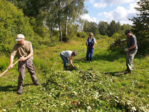 Arbeitseinsatz im Lindauer Quellmoor (Foto: Götte)