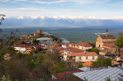 Sakartvelo - Kachetija, chinkaliai ir vynai - Stalnionytė