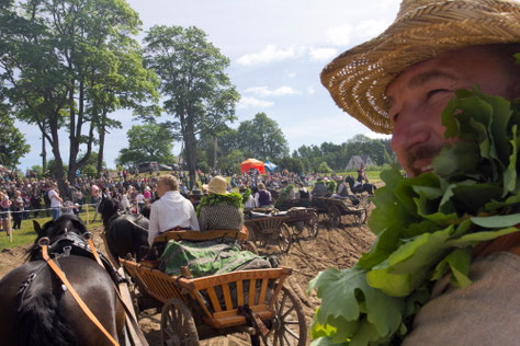 Žygis tradiciniais žemaitukų kinkiniais finišuoja Niūronyse 5 dalis - 2019 - Stalnionytė