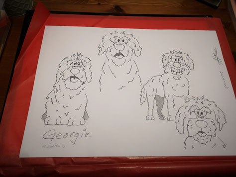 Georgie 2019