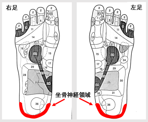 坐骨神経痛・鍼灸師がおススメする自分で出来るセルフケアを紹介・ツボ・経穴・足反射・足つぼ・東洋医学・鍼灸・漢方・漢方薬