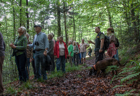 Revierförster Marco Astfalk mit Waldfreunden im Bannwald Steinhäusle