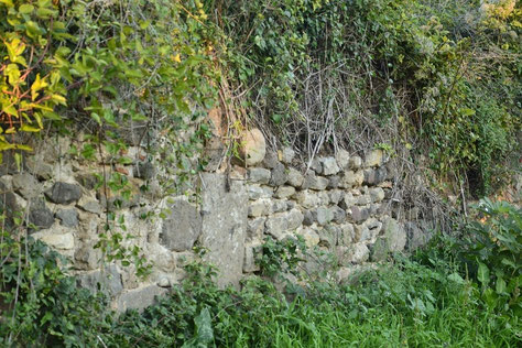 I muretti a secco sono costruiti con sanidiniti, trachiti, latiti, tufi.