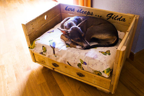 cama madera mascota personalizada