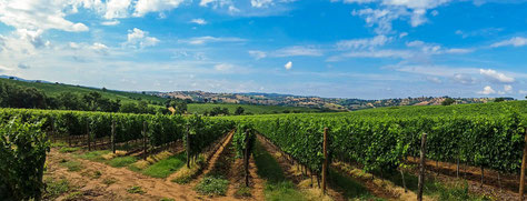 Toskana, Wein, Italien