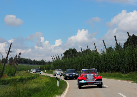 Unterwegs im Hopfenland Hallertau