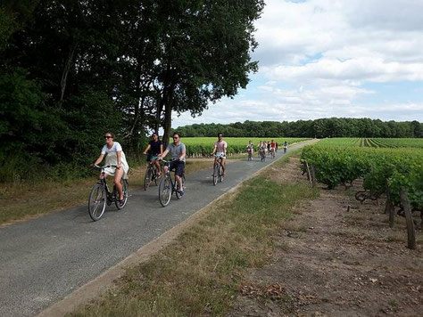 cycling-biking-Loire-Valley-bike-ride-wine-tasting-vineyard-Vouvray-Loire-Wine-Tours