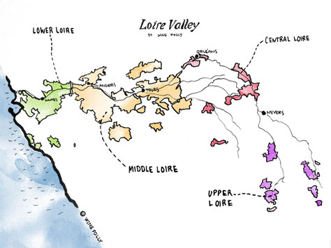 map-Loire-Valley-vineyard