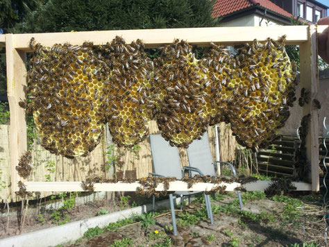 Zur Hälfte ausgebauter Drohnenrahmen