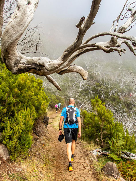 Madeira - die schönsten Wandertouren auf der Blumeninsel (hier: auf den höchsten Berg der Insel - vom Pico do Arieiro auf den Pico Ruivo)