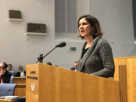 Quelle: Landtag Rheinland-Pfalz. Klick auf das Bild führt zum Videomitschnitt.