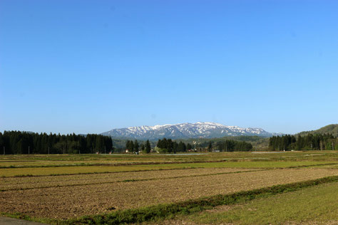 尾花沢市郊外