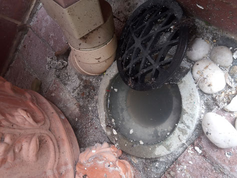 Blocked Drain - Gully Drain