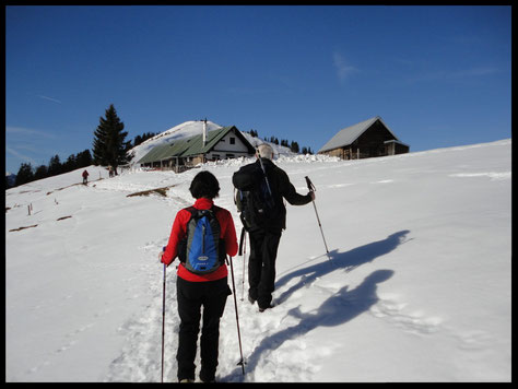 Knapp 1400 Meter hoch liegt die Bärenhauptalm. Wenig später erreicht der Wanderer problemlos den Hirschhörnl-Gipfel, der im Hintergrund schon gut zu sehen ist.