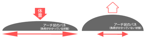 アーチの柔軟性について