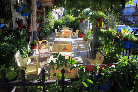 A local bar with terrace in Diezma