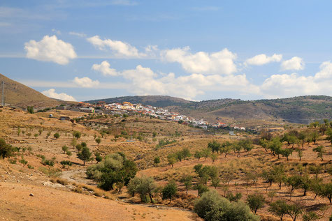 View on Charches