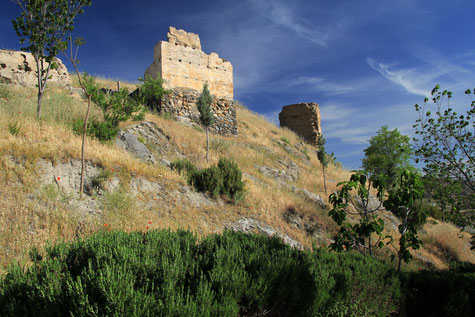 The castle ruins of La Peza
