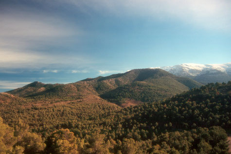 Natural Park Sierra de Baza