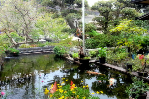 浄土真宗本願寺派　無量寺